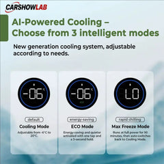 15L Portable Fridge for Tesla Model Y Rear Trunk - Hidden Compressor Cooler - Tesla Interior Accessories > Frunk Trunk